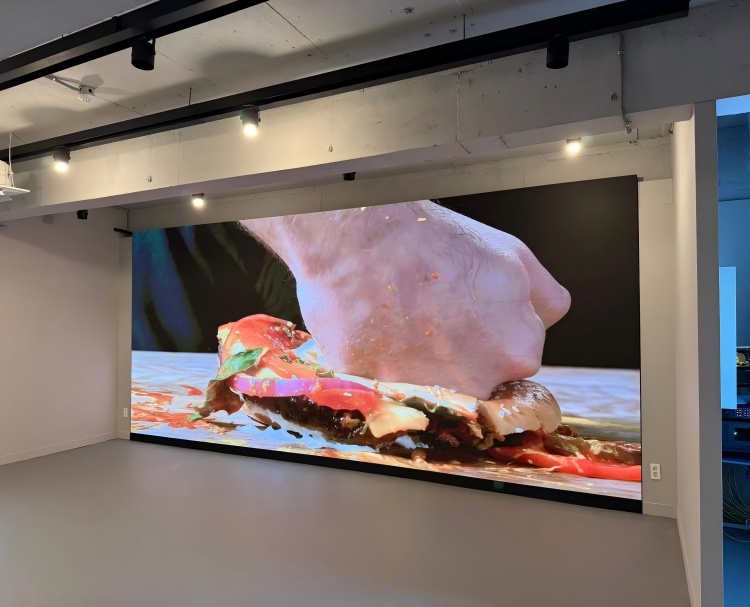 P2.5 indoor led display module 320mmx160mm
